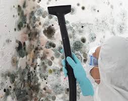 Best Comprehensive Air Testing for Mold Contaminants  in Wanamingo, MN